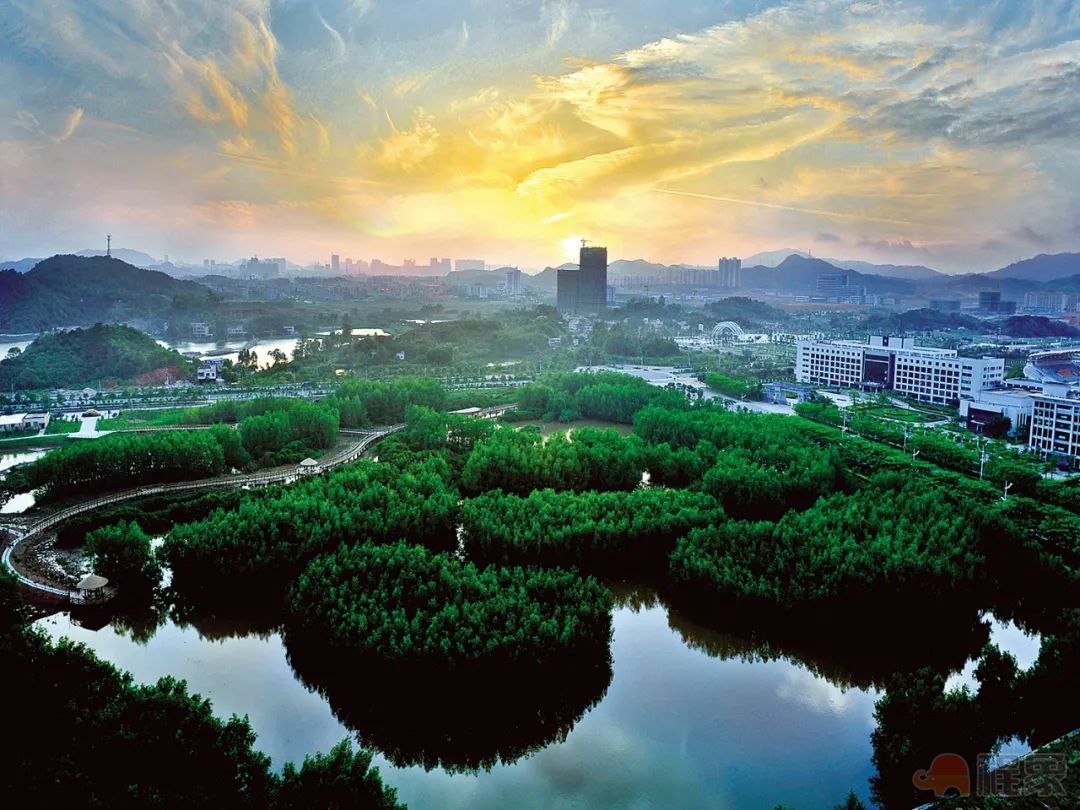 大亚湾区建立空气质量管理体系,保障空气质量持续向好(图3) 图片